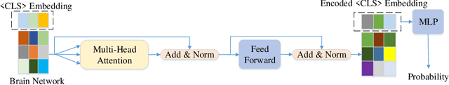 Figure 1 for BrainNPT: Pre-training of Transformer networks for brain network classification