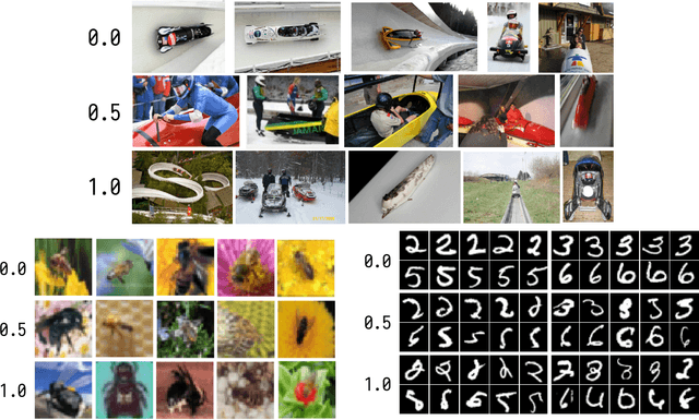 Figure 1 for What Neural Networks Memorize and Why: Discovering the Long Tail via Influence Estimation