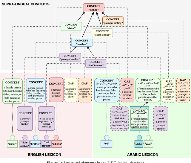 Figure 2 for Lexical Diversity in Kinship Across Languages and Dialects