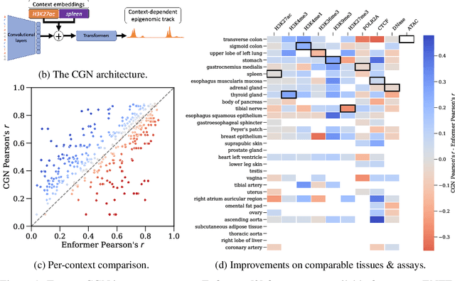 Figure 1 for Generalising sequence models for epigenome predictions with tissue and assay embeddings