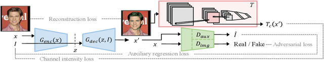Figure 1 for Testing the Channels of Convolutional Neural Networks