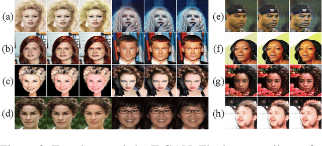 Figure 3 for Testing the Channels of Convolutional Neural Networks