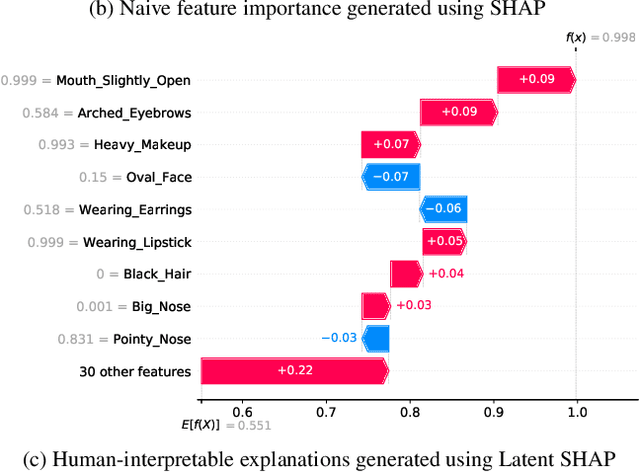 Figure 1 for Latent SHAP: Toward Practical Human-Interpretable Explanations