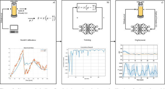 Figure 3 for In vivo learning-based control of microbial populations density in bioreactors