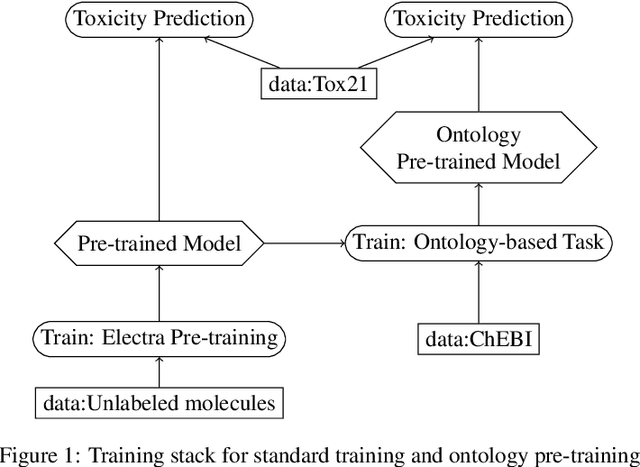 Figure 1 for Ontology Pre-training for Poison Prediction