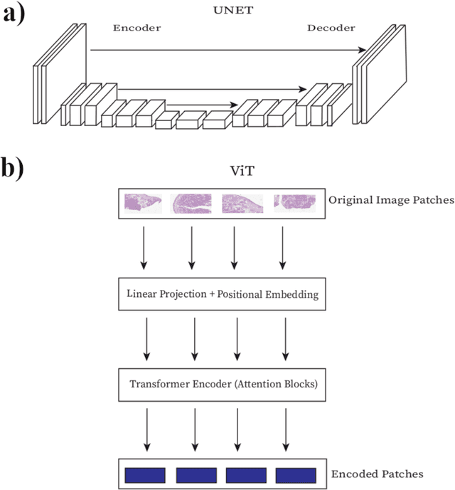 Figure 3 for The State of Applying Artificial Intelligence to Tissue Imaging for Cancer Research and Early Detection