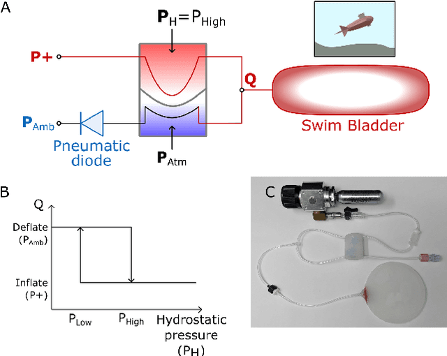 Figure 2 for Soft Fluidic Closed-Loop Controller for Untethered Underwater Gliders