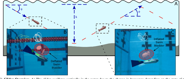 Figure 3 for Soft Fluidic Closed-Loop Controller for Untethered Underwater Gliders