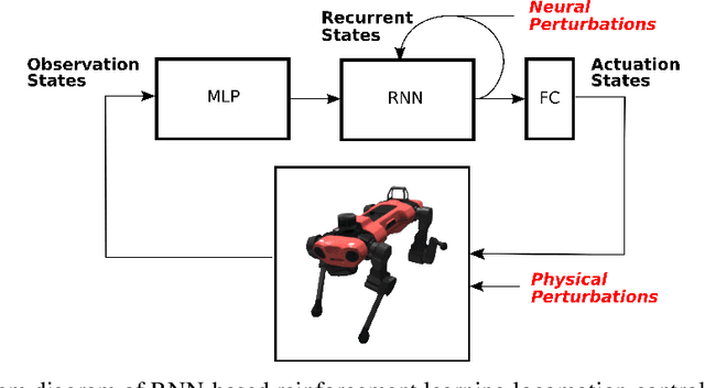 Figure 1 for A Population-Level Analysis of Neural Dynamics in Robust Legged Robots