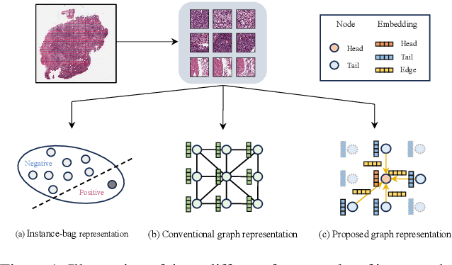 Figure 1 for Dynamic Graph Representation with Knowledge-aware Attention for Histopathology Whole Slide Image Analysis