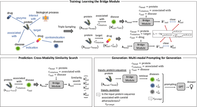 Figure 3 for BioBridge: Bridging Biomedical Foundation Models via Knowledge Graph