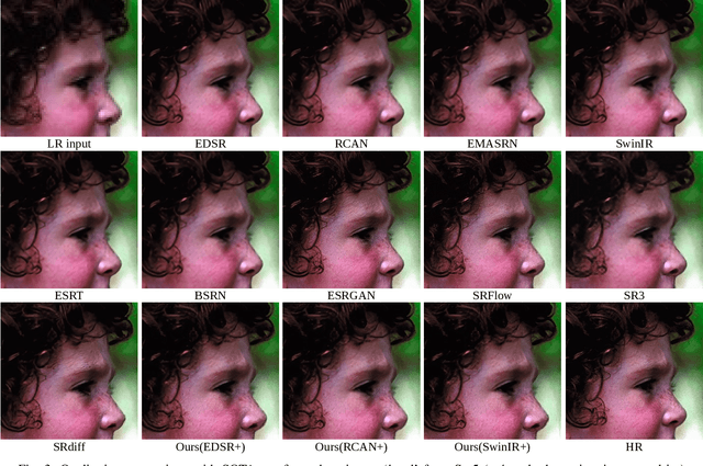 Figure 3 for ACDMSR: Accelerated Conditional Diffusion Models for Single Image Super-Resolution
