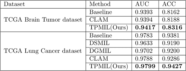 Figure 2 for TPMIL: Trainable Prototype Enhanced Multiple Instance Learning for Whole Slide Image Classification