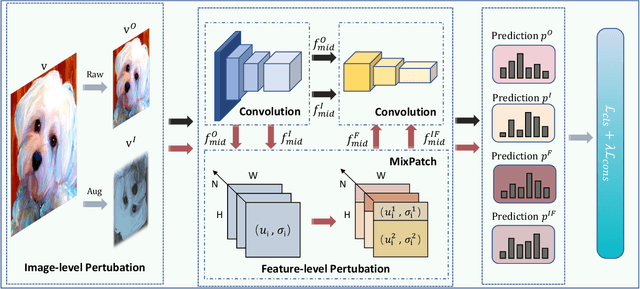 Figure 2 for A Novel Cross-Perturbation for Single Domain Generalization