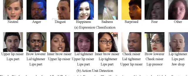 Figure 1 for Robust Light-Weight Facial Affective Behavior Recognition with CLIP