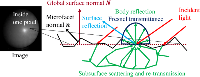 Figure 2 for Fresnel Microfacet BRDF: Unification of Polari-Radiometric Surface-Body Reflection