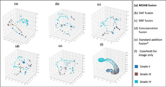 Figure 3 for MOAB: Multi-Modal Outer Arithmetic Block For Fusion Of Histopathological Images And Genetic Data For Brain Tumor Grading