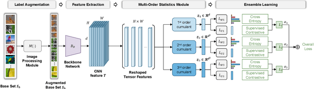 Figure 3 for Few-shot Classification via Ensemble Learning with Multi-Order Statistics