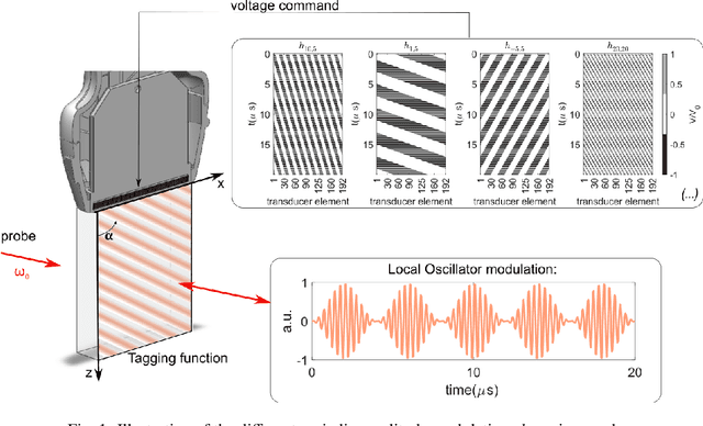 Figure 1 for Suppression of the Talbot effect in Fourier transform acousto-optic imaging