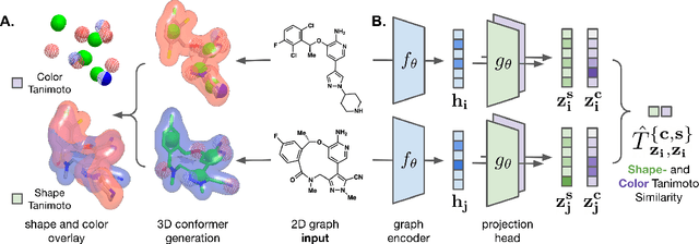 Figure 1 for A 3D-Shape Similarity-based Contrastive Approach to Molecular Representation Learning