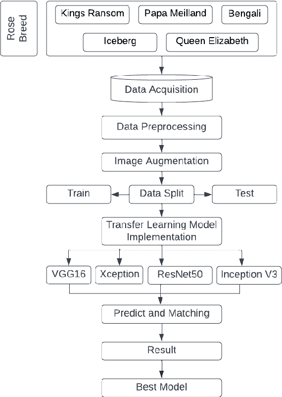 Figure 1 for Local Rose Breeds Detection System Using Transfer Learning Techniques