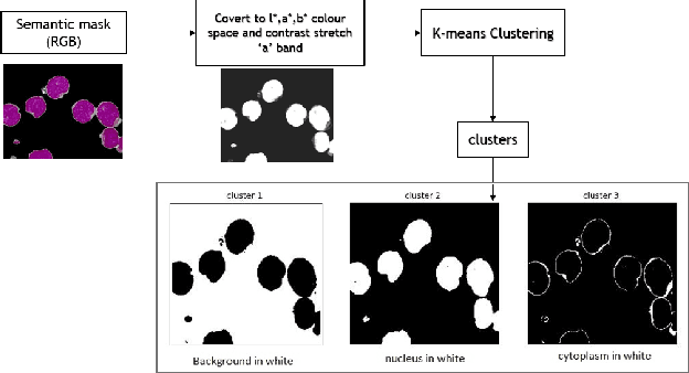 Figure 3 for A Fully Unsupervised Instance Segmentation Technique for White Blood Cell Images