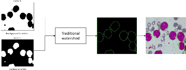 Figure 4 for A Fully Unsupervised Instance Segmentation Technique for White Blood Cell Images