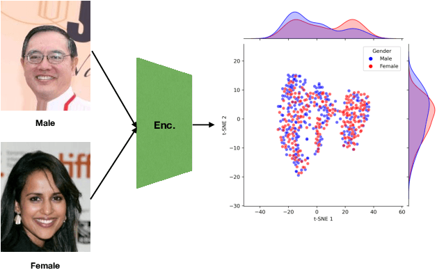 Figure 1 for Toward Fair Facial Expression Recognition with Improved Distribution Alignment