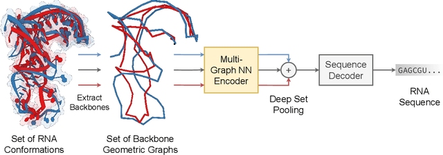 Figure 1 for Multi-State RNA Design with Geometric Multi-Graph Neural Networks