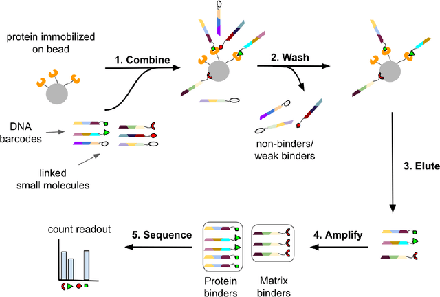 Figure 1 for DEL-Dock: Molecular Docking-Enabled Modeling of DNA-Encoded Libraries