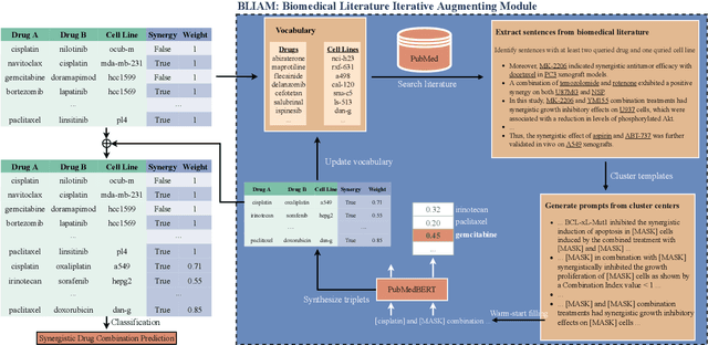 Figure 2 for BLIAM: Literature-based Data Synthesis for Synergistic Drug Combination Prediction