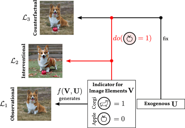 Figure 1 for Pearl Causal Hierarchy on Image Data: Intricacies & Challenges