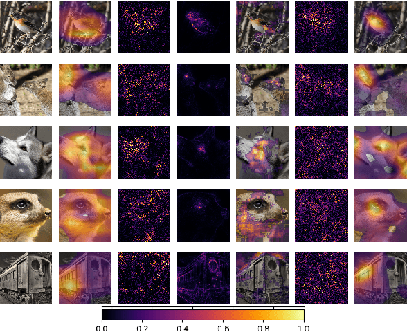 Figure 1 for On The Coherence of Quantitative Evaluation of Visual Expalantion