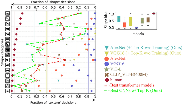 Figure 1 for Emergence of Shape Bias in Convolutional Neural Networks through Activation Sparsity