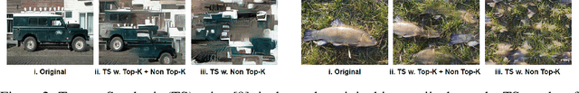 Figure 3 for Emergence of Shape Bias in Convolutional Neural Networks through Activation Sparsity