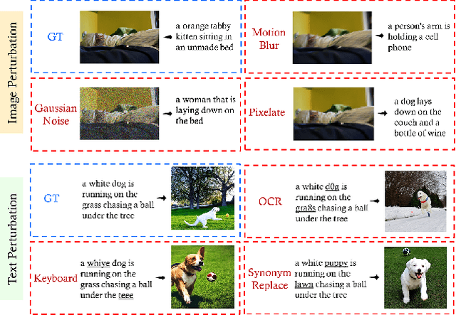 Figure 1 for Are Multimodal Models Robust to Image and Text Perturbations?
