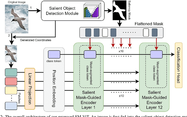 Figure 3 for Salient Mask-Guided Vision Transformer for Fine-Grained Classification