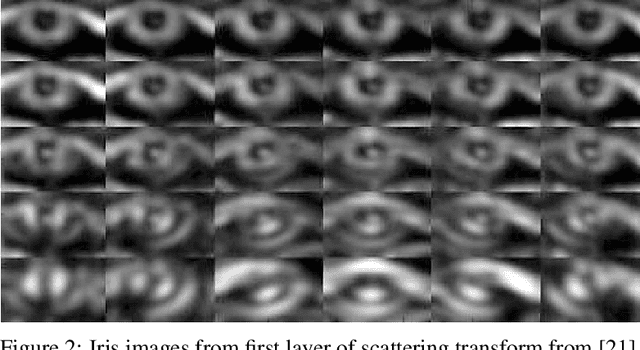 Figure 3 for Invariant Scattering Transform for Medical Imaging