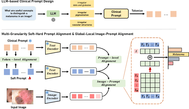 Figure 1 for XCoOp: Explainable Prompt Learning for Computer-Aided Diagnosis via Concept-guided Context Optimization