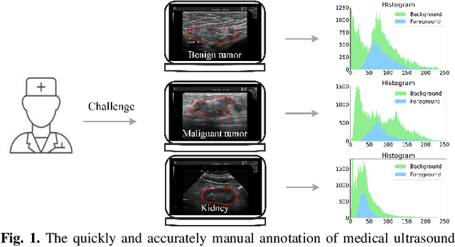 Figure 1 for BAAF: A Benchmark Attention Adaptive Framework for Medical Ultrasound Image Segmentation Tasks