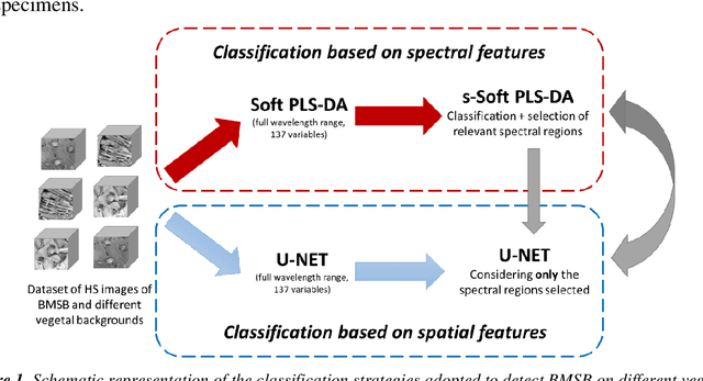 Figure 1 for Evaluation of the potential of Near Infrared Hyperspectral Imaging for monitoring the invasive brown marmorated stink bug