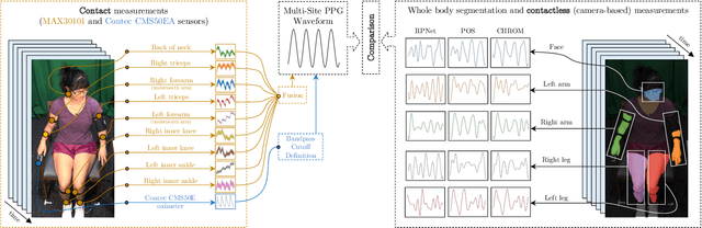 Figure 1 for Full-Body Cardiovascular Sensing with Remote Photoplethysmography