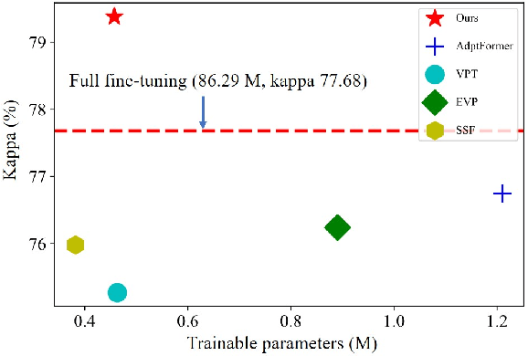 Figure 1 for DVPT: Dynamic Visual Prompt Tuning of Large Pre-trained Models for Medical Image Analysis