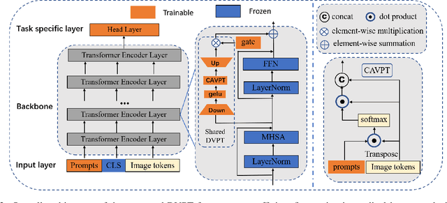 Figure 3 for DVPT: Dynamic Visual Prompt Tuning of Large Pre-trained Models for Medical Image Analysis