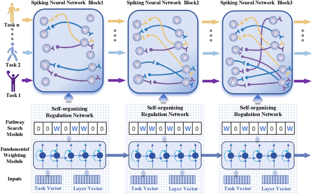 Figure 3 for Adaptive Reorganization of Neural Pathways for Continual Learning with Hybrid Spiking Neural Networks