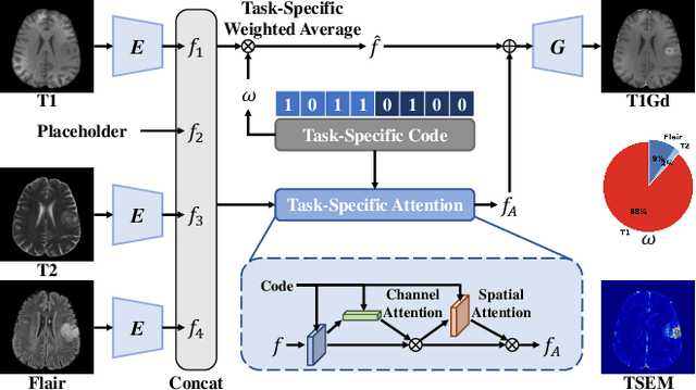 Figure 1 for An Explainable Deep Framework: Towards Task-Specific Fusion for Multi-to-One MRI Synthesis