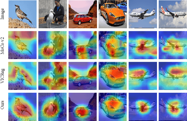 Figure 1 for Learning Common Rationale to Improve Self-Supervised Representation for Fine-Grained Visual Recognition Problems