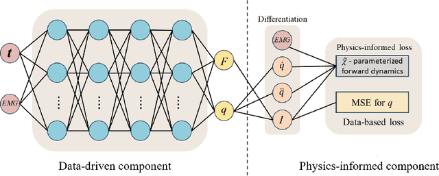 Figure 3 for The bionic neural network for external simulation of human locomotor system