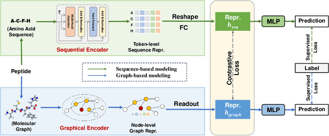 Figure 3 for Co-modeling the Sequential and Graphical Routes for Peptide Representation Learning