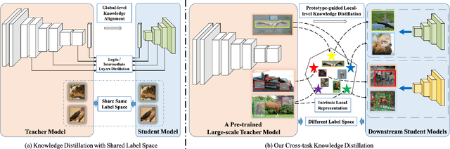 Figure 1 for Prototype-guided Cross-task Knowledge Distillation for Large-scale Models